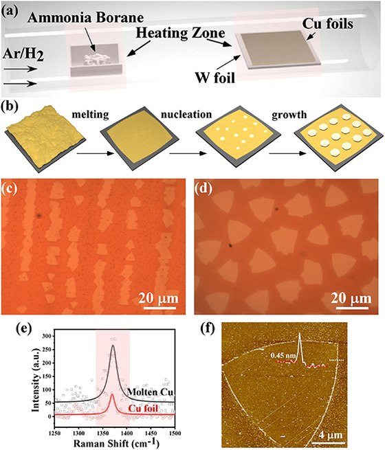 Structure evolution of hBN grown on molten Cu by regulating precursor flux during chemical vapor deposition