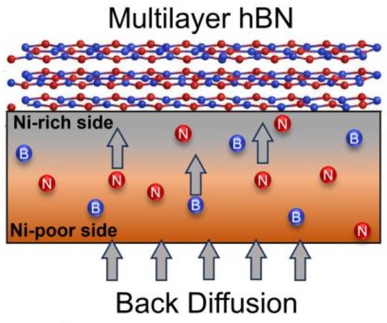 Scalable Back-Diffusion Growth of Multilayer hBN on Ni-Cu Gradient Alloy Substrates