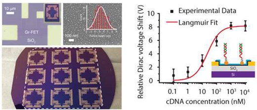Scalable Production of Sensor Arrays Based on High-Mobility Hybrid Graphene Field Effect Transistors