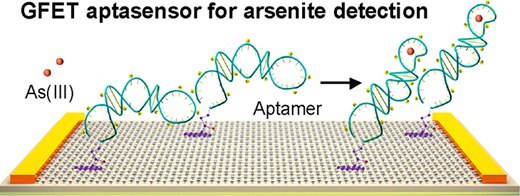 Aptasensors Based on Graphene Field-Effect Transistors for Arsenite Detection