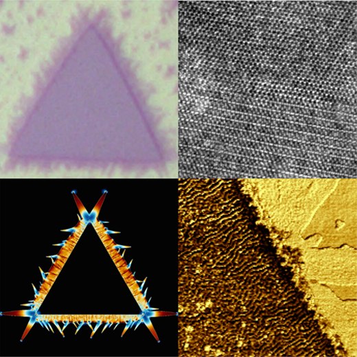 Synthesis and Physical Properties of Phase-Engineered Transition Metal Dichalcogenide Monolayer Heterostructures