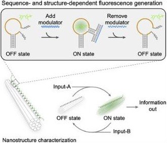 Light-Up Nanostructures with Allosterically Controlled Fluorogenic DNA Aptamers