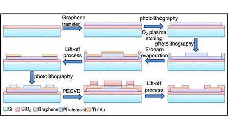 Scalable Chemical Vapor Deposited Graphene Field-Effect Transistors for Bio/Chemical assay