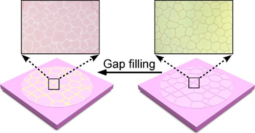 Coherent Heterostructure Mesh Grown by Gap-Filling Epitaxial Chemical Vapor Deposition