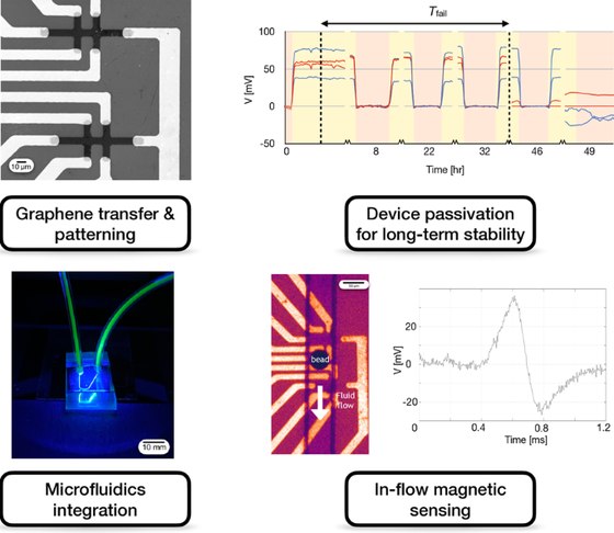Highly Stable Integration of Graphene Hall Sensors with Microfluidics for Sensing in Whole Blood