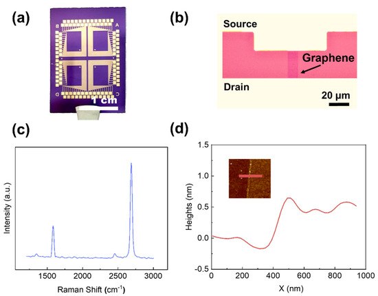 Graphene-Based Ion-Selective Field-Effect Transistor for Sodium Sensing