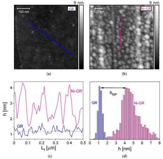 Exchange Coupling Effects on the Magnetotransport Properties of Ni-Nanoparticle-Decorated Graphene