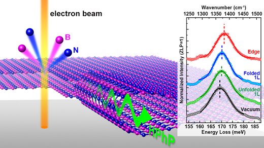 Curvature-Induced One-Dimensional Phonon Polaritons at Edges of Folded Boron Nitride Sheets