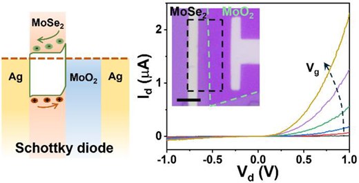 Epitaxial Growth of Two-Dimensional MoO₂-MoSe₂ Metal-Semiconductor Heterostructures for Schottky Diodes