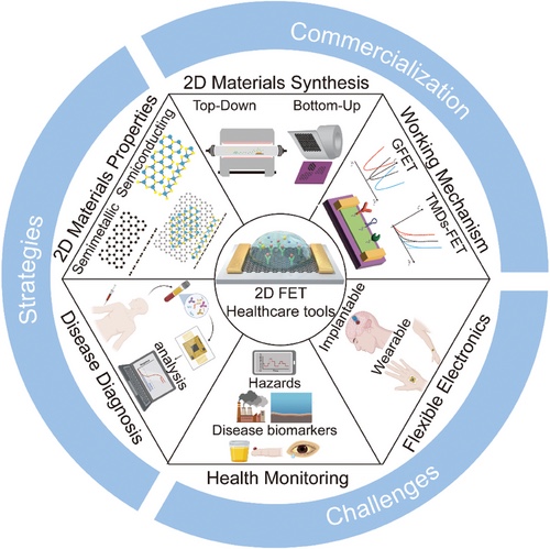 2D Materials-Based Field-Effect Transistor Biosensors for Healthcare