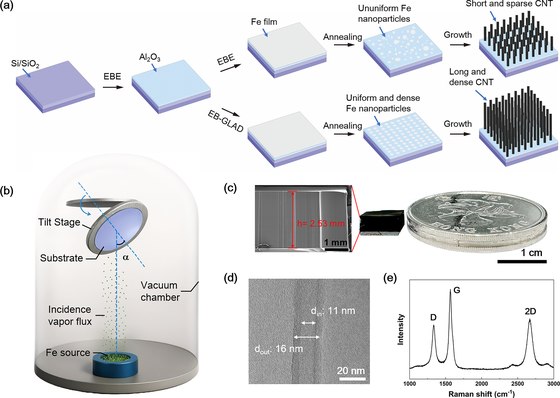 Glancing angle-engineered Fe catalysts enabling millimeter-scale vertically aligned carbon nanotube arrays
