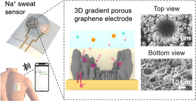 Wearable Sensors for Real-time Analysis of Human Sweat